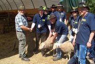 phoca-thumb-l-74.jpg