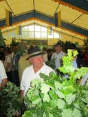 phoca-thumb-l-31.jpg