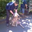 phoca-thumb-l-imag0078.jpg
