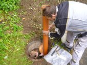 phoca-thumb-l-147-leitungen-20und-20putz.jpg