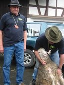 phoca-thumb-l-hammel12.jpg