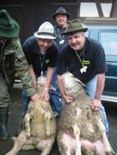 phoca-thumb-l-hammel13.jpg