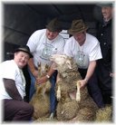phoca-thumb-l-hammelkauf3.jpg