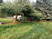 img-20170604-191101.jpg