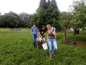 img-20170604-192123.jpg
