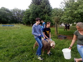 img-20170604-192125.jpg
