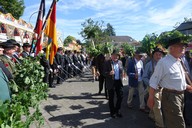 196.jpg