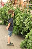 img-1618.jpg