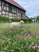 image00023.jpg