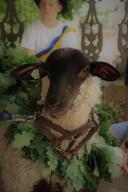 0057img-4625.jpg