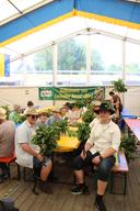 0073img-4662.jpg