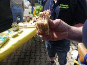 hammelkauf-2023-69.jpg