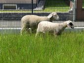 hammelhotel-2023-9.jpg