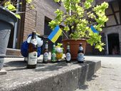 hammelhotel-2023-11.jpg