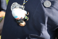 img-7811.jpg