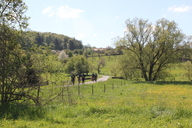 img-7893.jpg