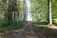 img-8036.jpg
