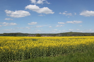 img-8037.jpg
