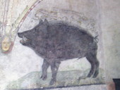 bild0921.jpg