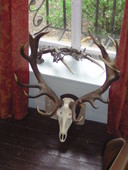 bild0923.jpg