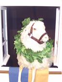 bild0938.jpg