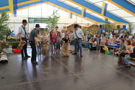 img-8774.jpg