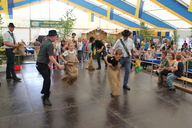 img-8775.jpg