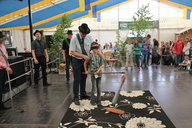 img-8812.jpg