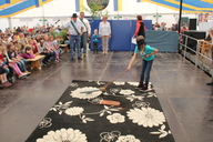 img-8848.jpg