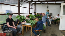 l1050781.jpg