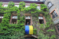 img-8964.jpg